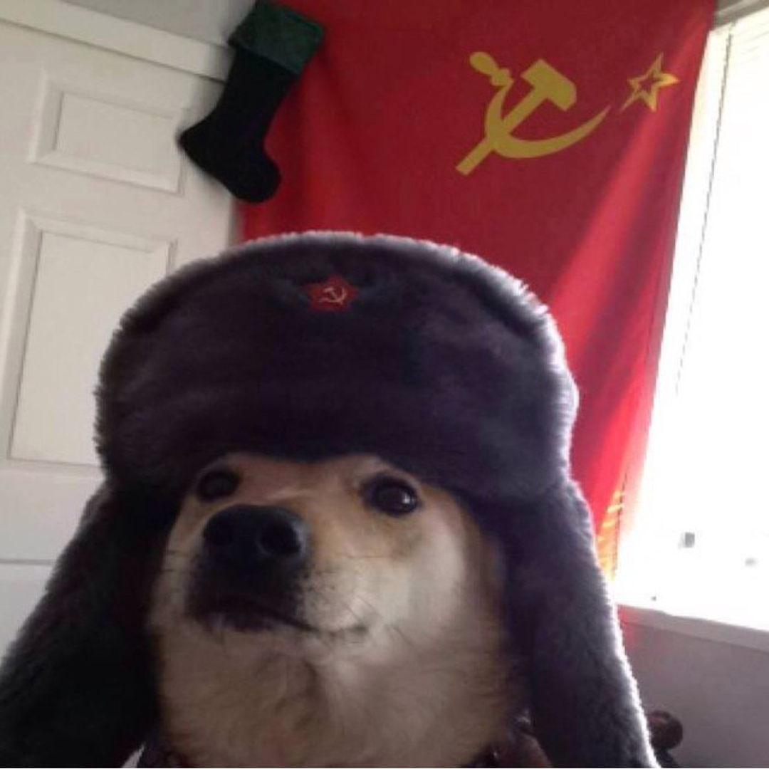 just soviet dogoo